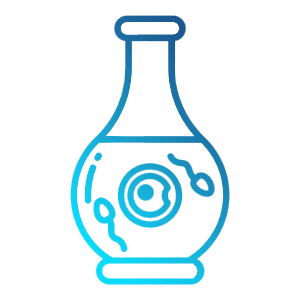 IVF (In Vitro Fertilization)