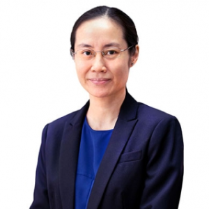 Dr. Chan U Teng